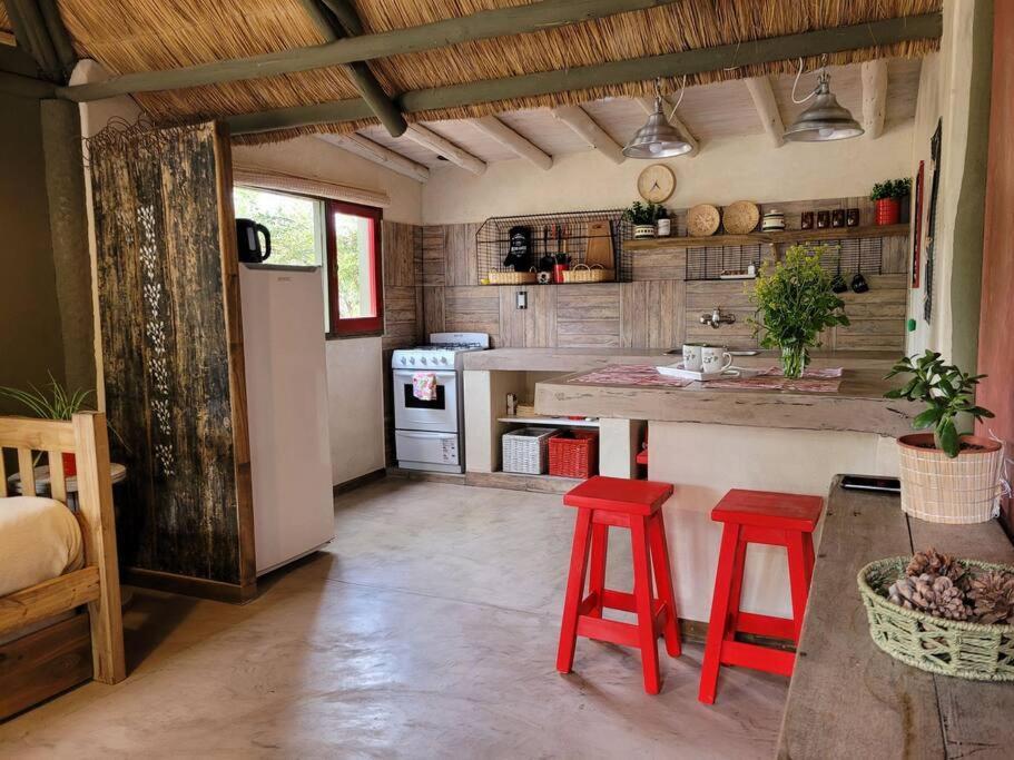 Appartement La Saucina - Cabana Rustica Chic à Tunuyán Extérieur photo